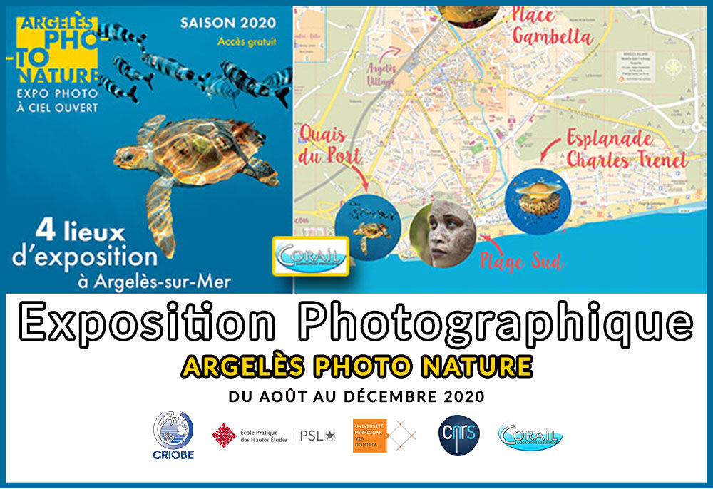 http://www.labex-corail.fr/wp-content/uploads/Argeles_Collage_2020-1000x686.jpg
