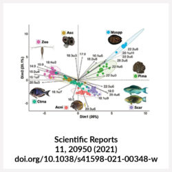 http://www.labex-corail.fr/wp-content/uploads/Fey_et_al-2021-Scientific_Reports-SQUARE-250x250.jpg