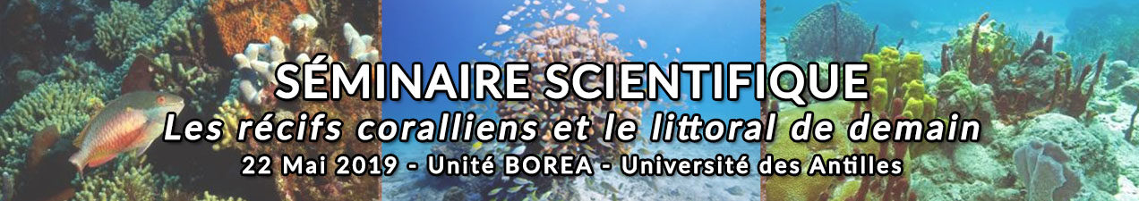 http://www.labex-corail.fr/wp-content/uploads/Mai2019_SciSem_Antilles-1272x225.jpg