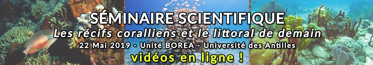 http://www.labex-corail.fr/wp-content/uploads/Mai2019_SciSem_Antilles_Video-1272x225.jpg