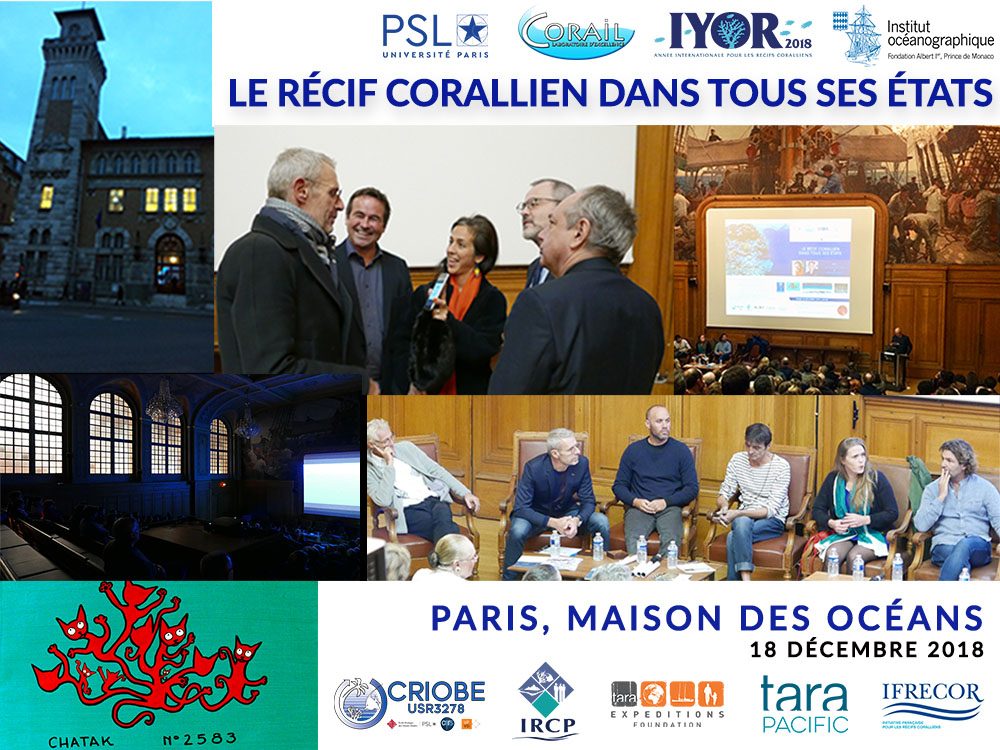 https://www.labex-corail.fr/wp-content/uploads/MDO-EVENT_Collage_DEC2018_3-1000x750.jpg