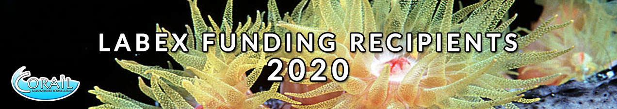 https://www.labex-corail.fr/wp-content/uploads/Resultat-Appel-dOffre-2020EN-1272x225.jpg