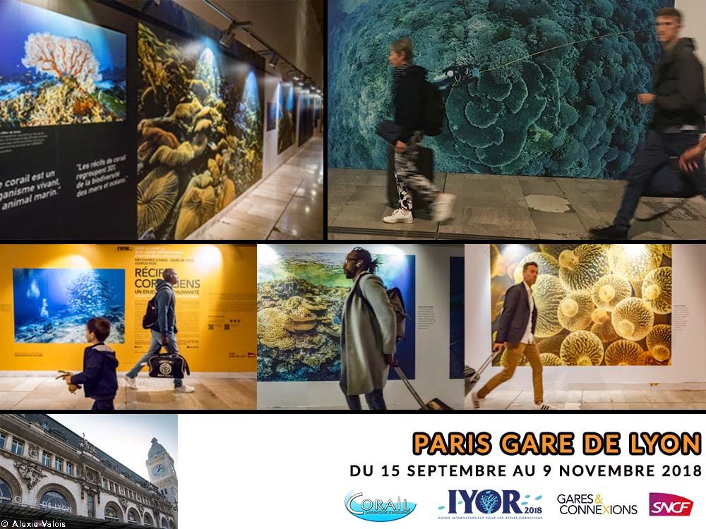 https://www.labex-corail.fr/wp-content/uploads/SNCF_Collage_Nov2018v3-1000x750.jpg